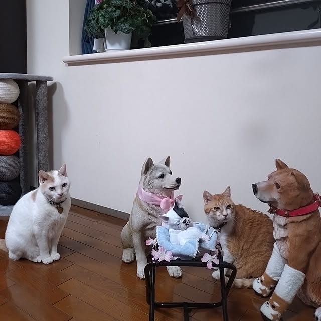 NOAHさんの部屋