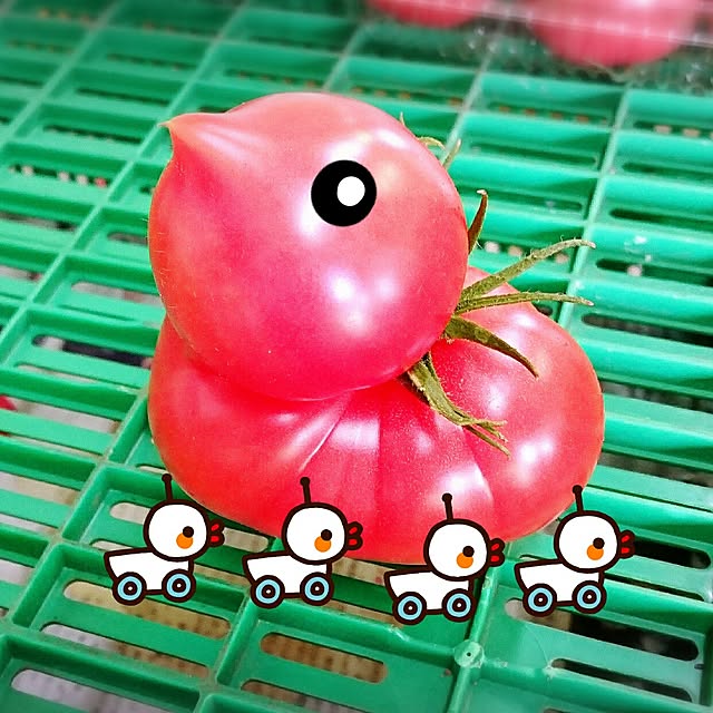 maiさんの実例写真
