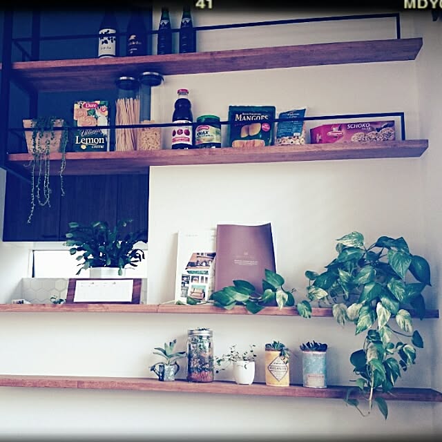 DailyRoomclip