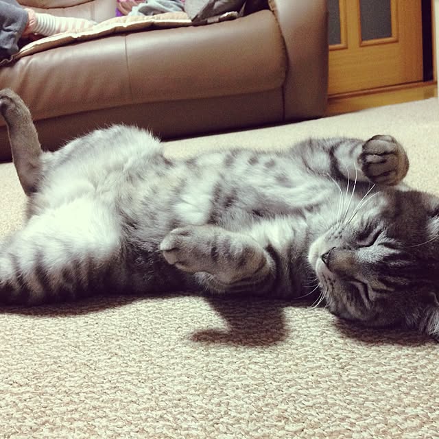 KEYさんの実例写真