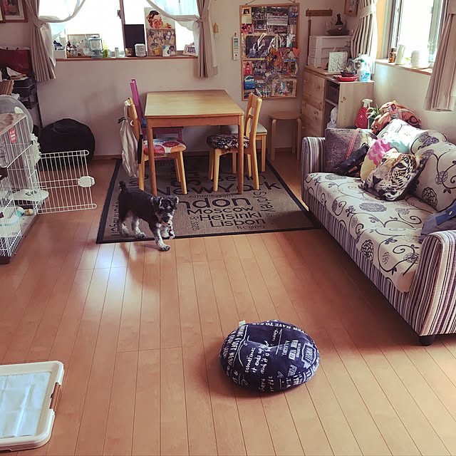 Mikaさんの実例写真