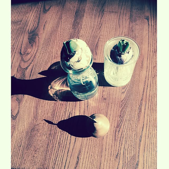 cocoroさんの実例写真