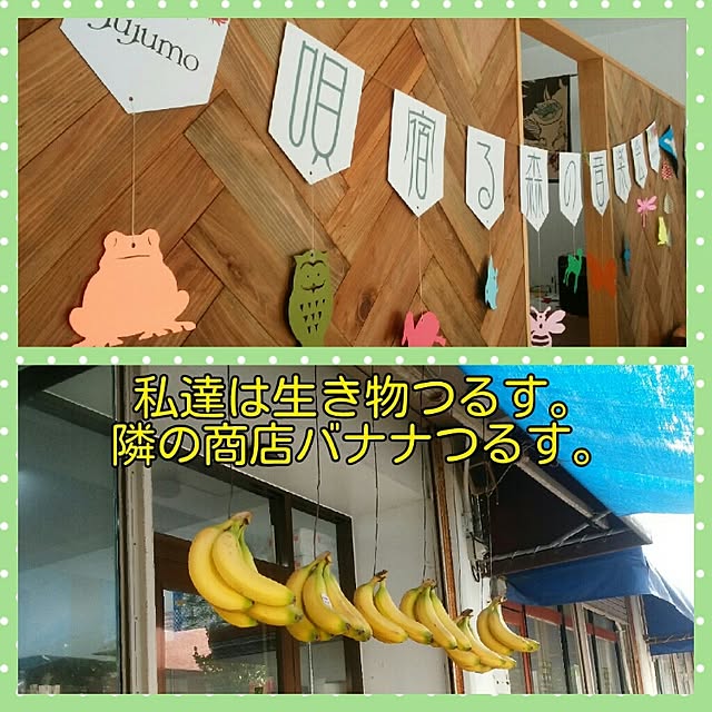 tanemakikoさんの実例写真