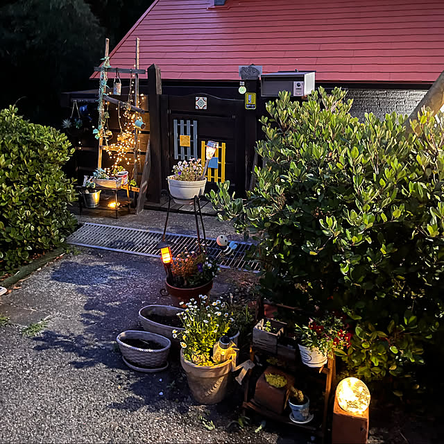 jijiさんの実例写真