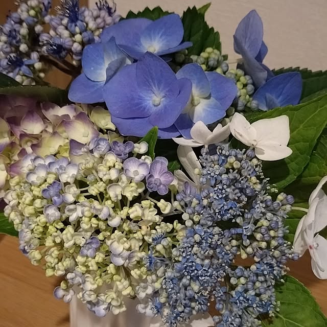 KAZUさんの実例写真