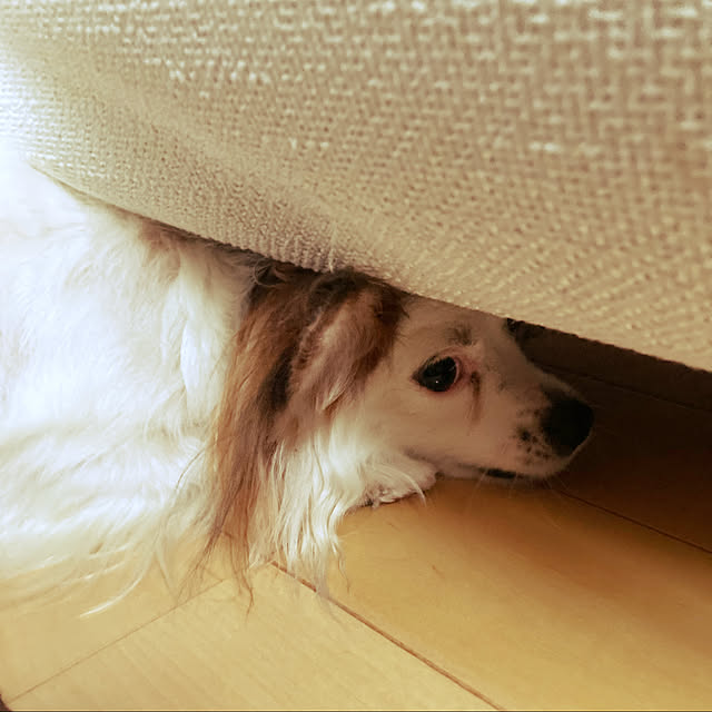 Kさんの実例写真