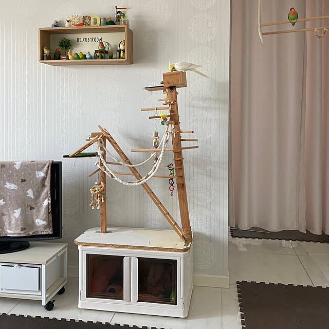 toratanさんの部屋