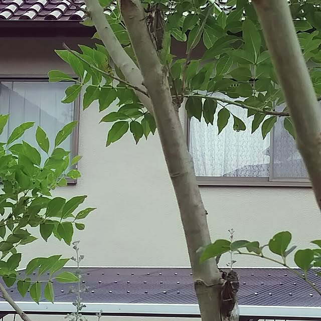 enacoさんの実例写真