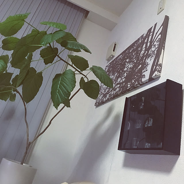 marinさんの実例写真