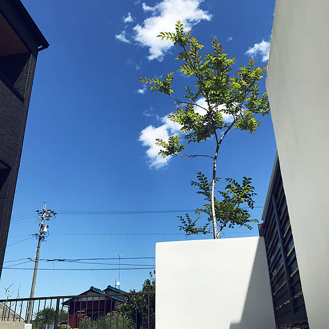 sanaさんの実例写真