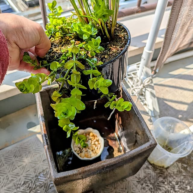 mi-saさんの部屋