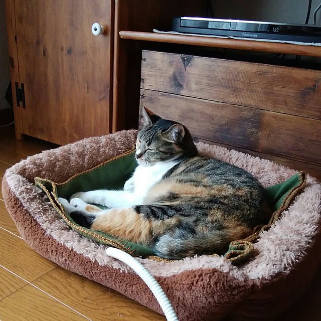 tomo1220さんの実例写真