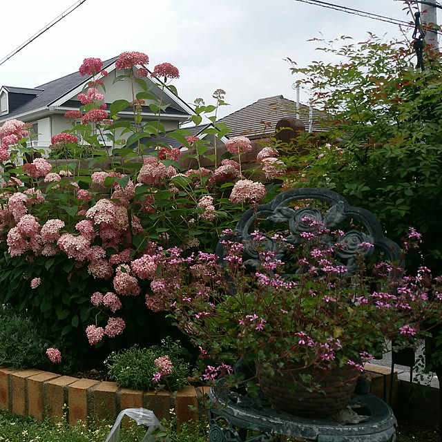 VIORAさんの実例写真