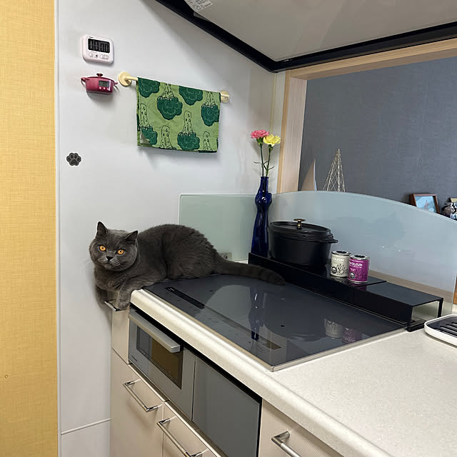kittyさんの部屋