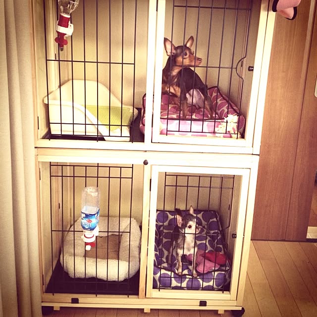 AYAさんの実例写真
