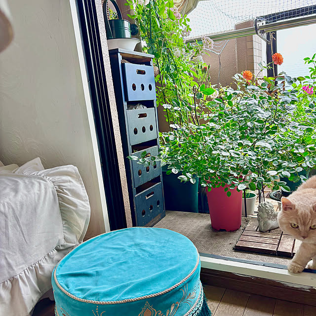 naokoさんの実例写真