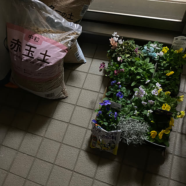 実例写真