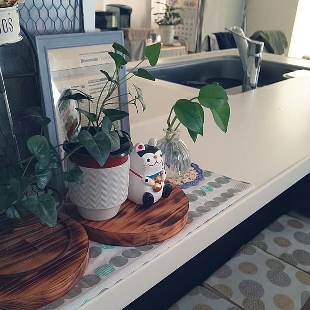 KOHAKUさんの部屋