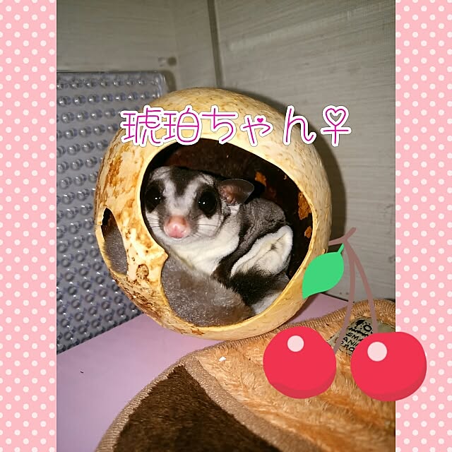 KOHAKUさんの実例写真