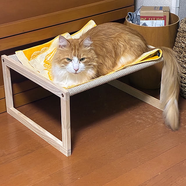 uchidaizuさんの部屋