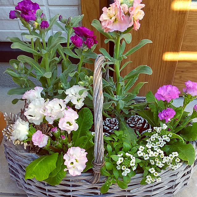 hanano087さんの実例写真