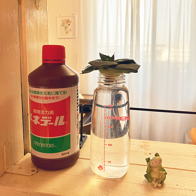 koshiregutyoさんの実例写真