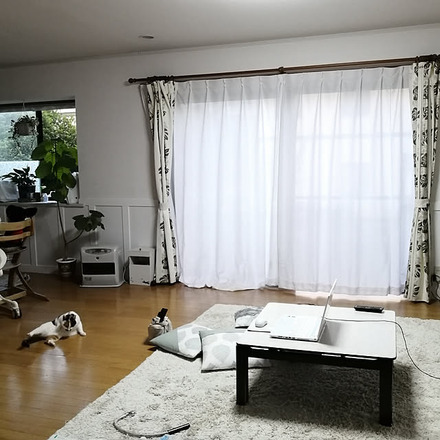 実例写真