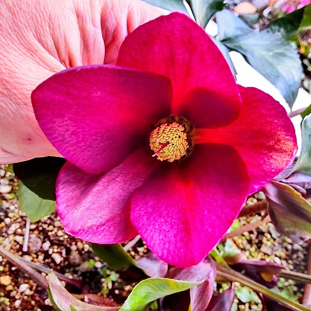 NSDさんの実例写真