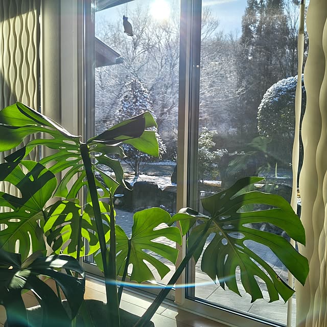 Rubiconさんの部屋