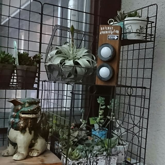 jiuさんの実例写真