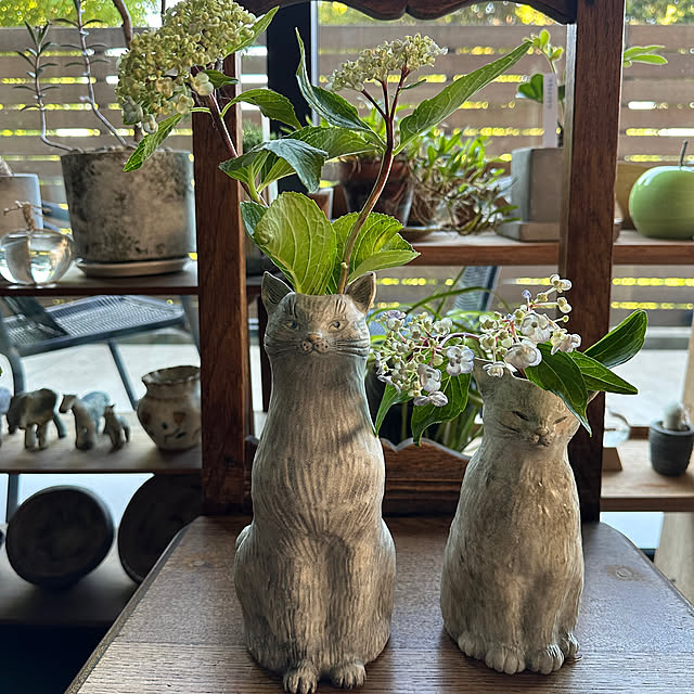 chinaoさんの実例写真
