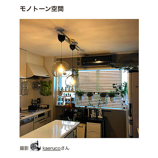 kaerucoさんの実例写真