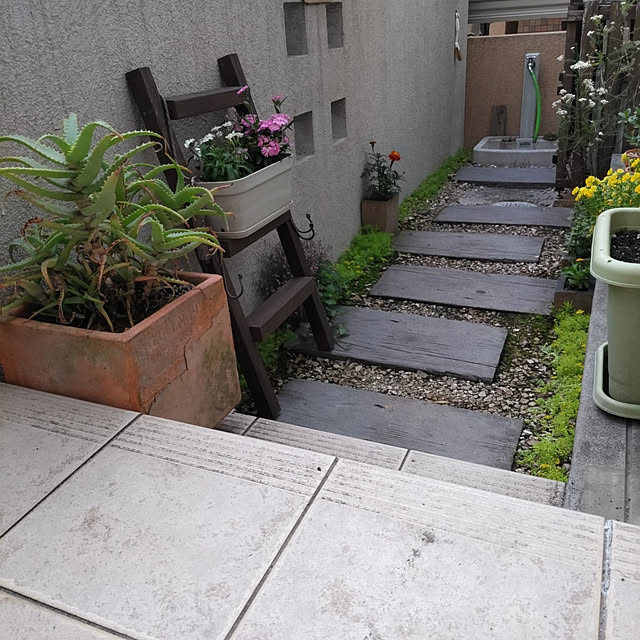 棚/DIY/ラダーラック/庭のインテリア実例 - 2022-05-08 12:31:55
