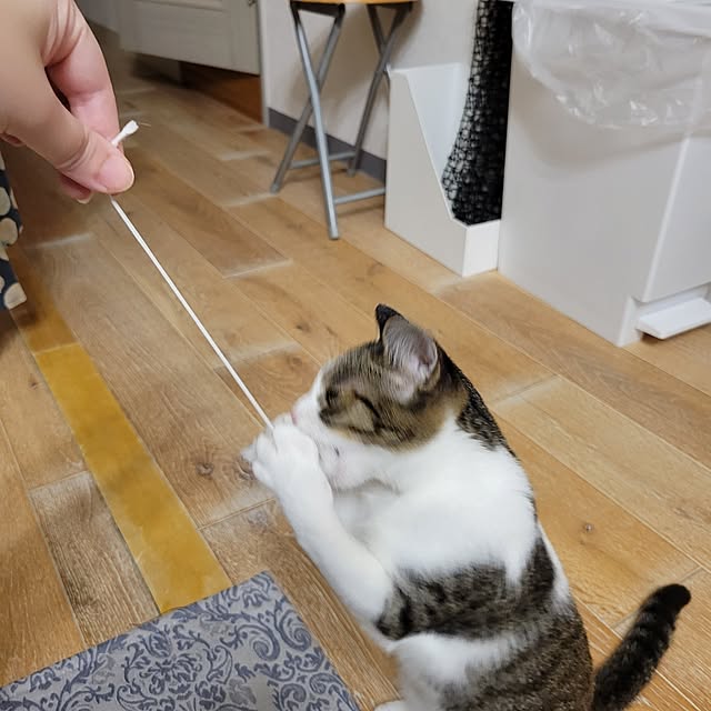 akimameさんの部屋