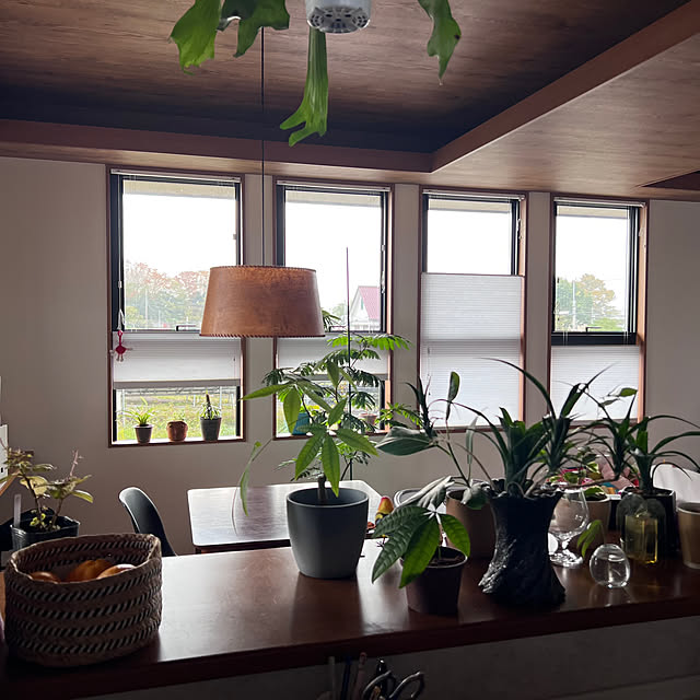 pokowheeさんの実例写真