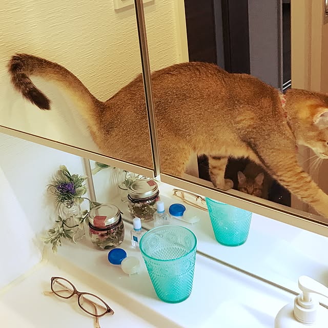 1633さんの実例写真