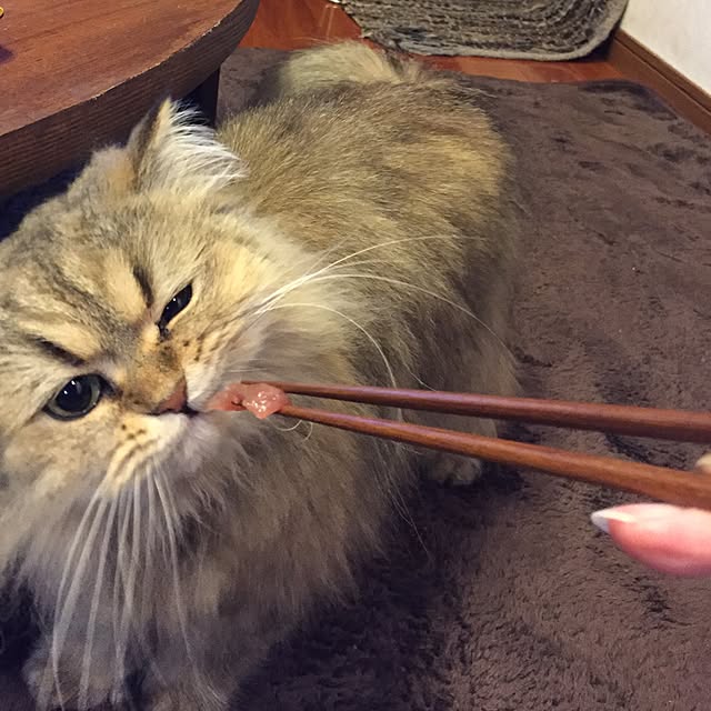 butachanさんの実例写真