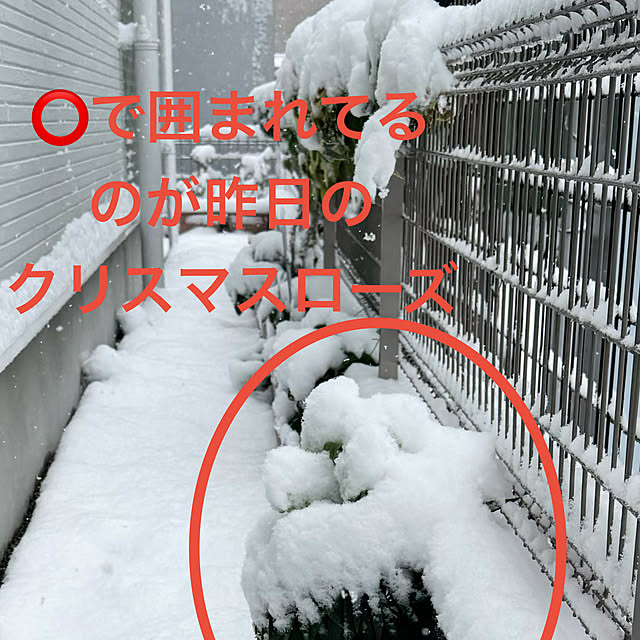 nonnonさんの部屋