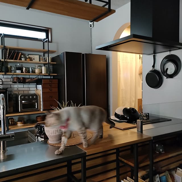 Atelier_tamakiさんの実例写真