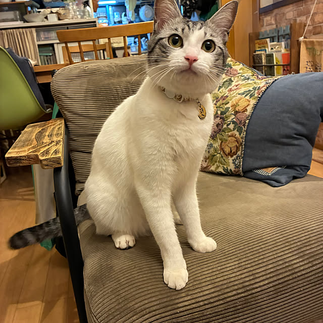 buchikoさんの実例写真