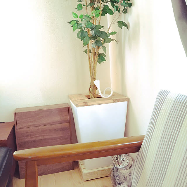 nanaさんの実例写真