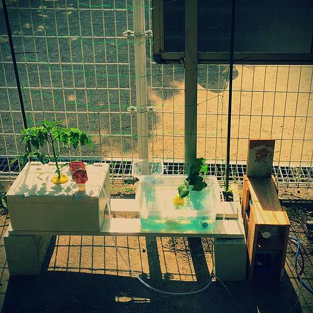 antiqueheartさんの実例写真