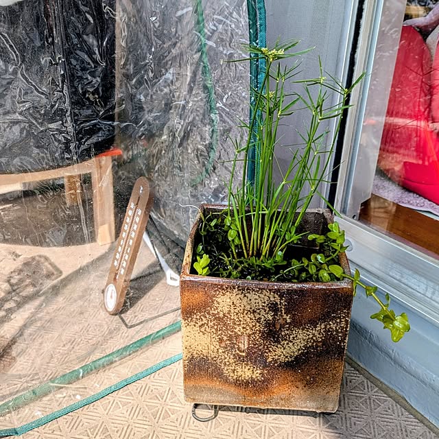 mi-saさんの部屋