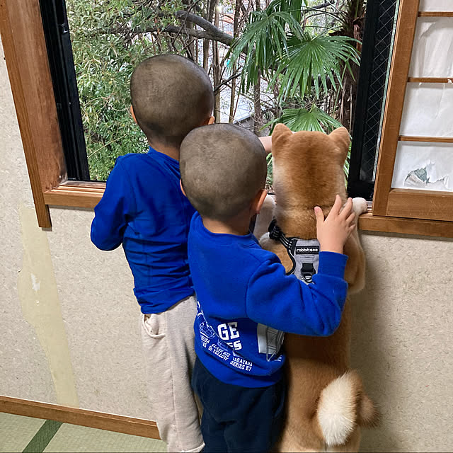 luckyさんの実例写真
