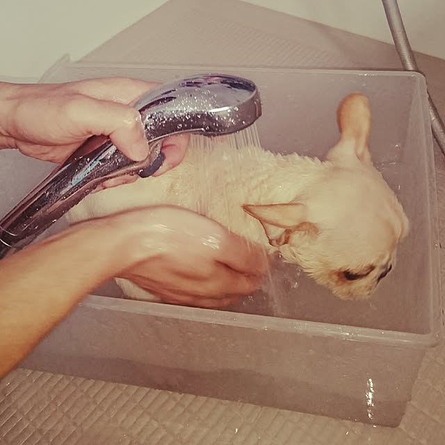koronさんの実例写真