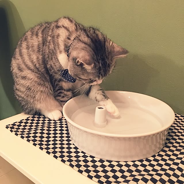 Shojiさんの実例写真