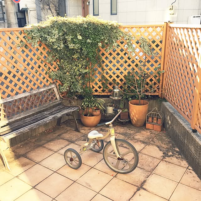 chie.n_n.さんの実例写真