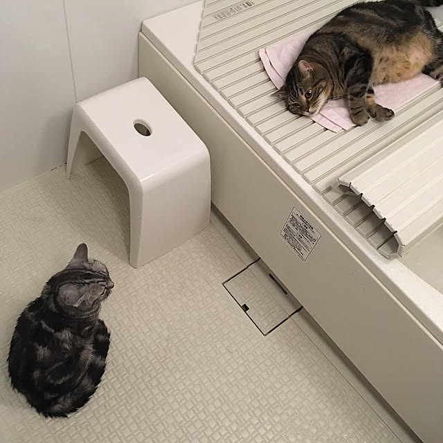 mikomaruさんの実例写真
