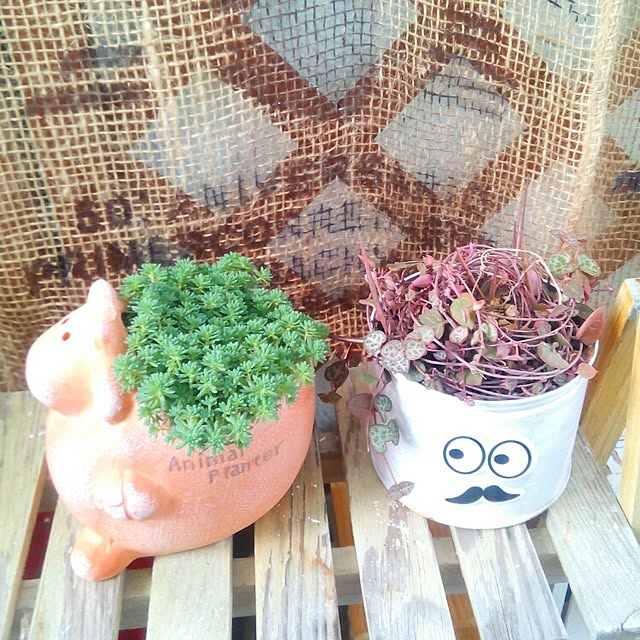 VERANDARJUNさんの実例写真