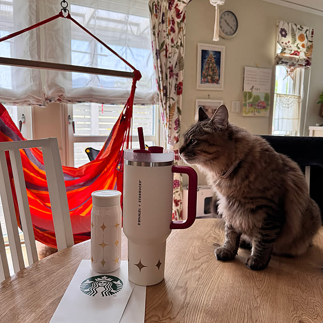 nekozo328さんの実例写真